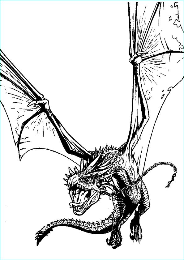 dessin dragon z a imprimer