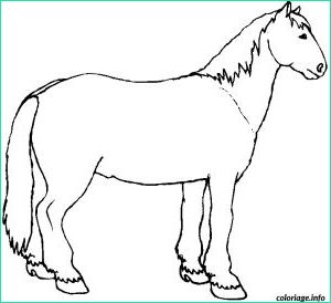 ane dessin facile nouveau collection coloriage un cheval de trait dessin