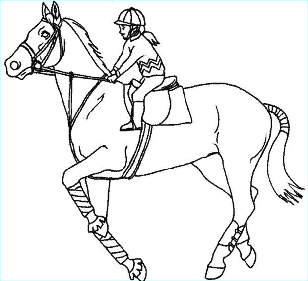 cheval avec cavaliere 1164