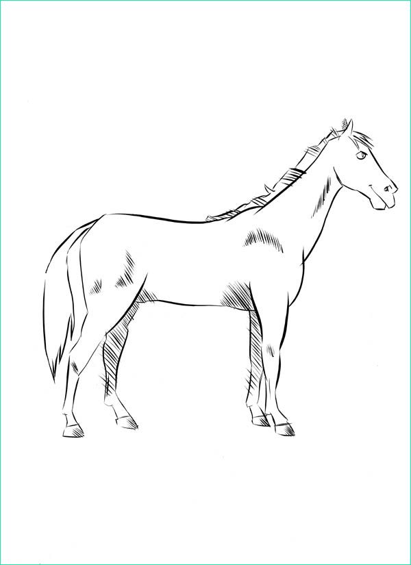 activites enfants dessiner un cheval