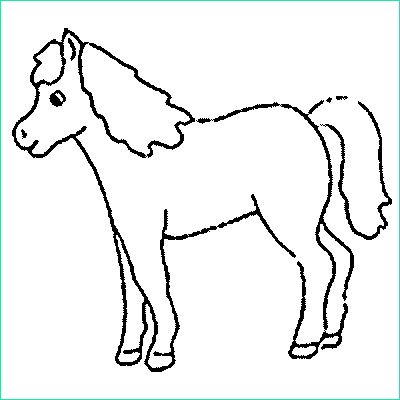 14 simple dessin cheval facile photograph
