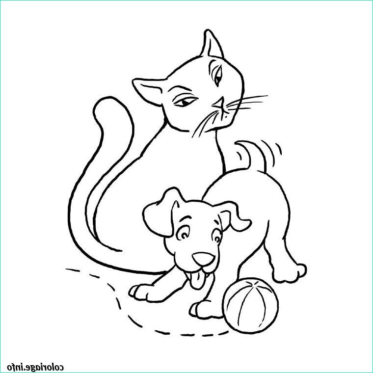chat et chien coloriage dessin 2155