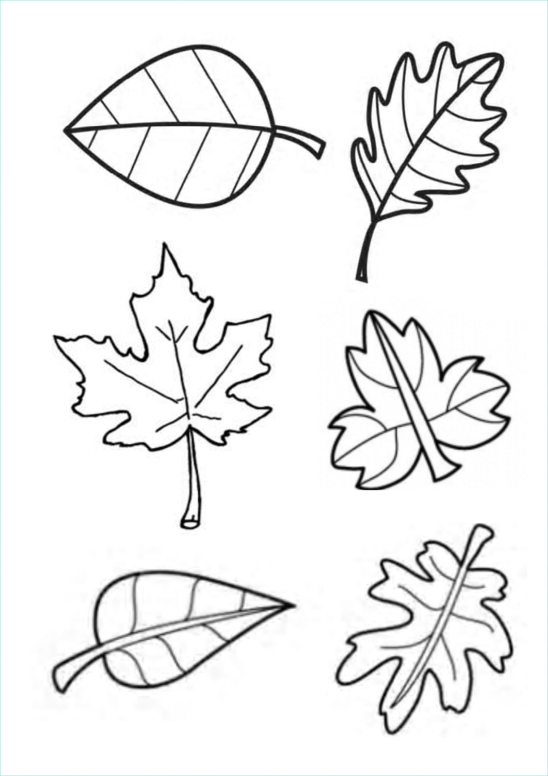 gabarit feuilles dautomne pour tableau collectif destine dessin de feuille d automne