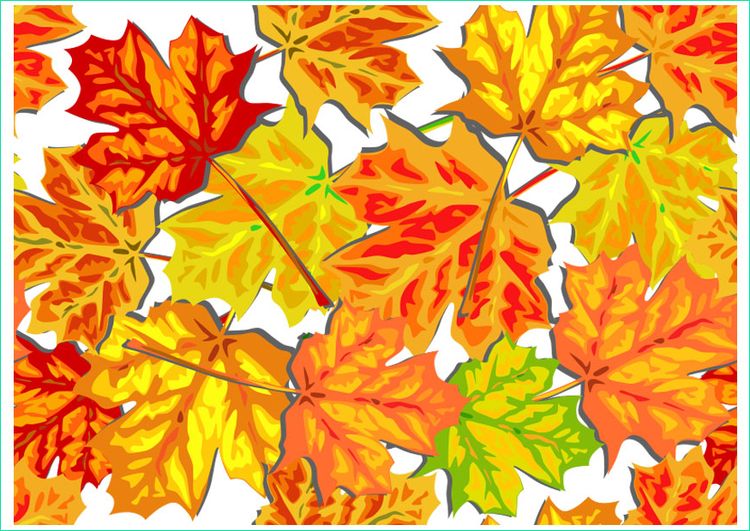 image feuilles d automne i
