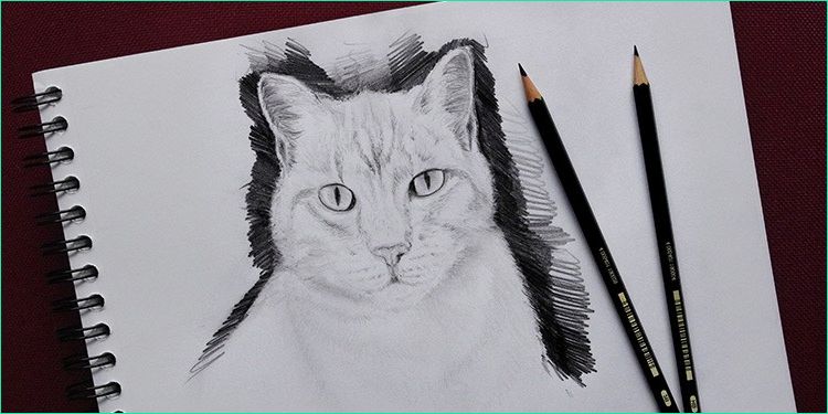 ment dessiner un chat facilement tutoriel de dessin en video episode 3