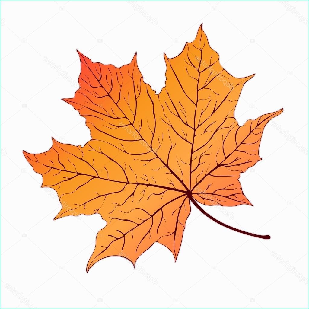 stock illustration autumn leaf yellow orange maple