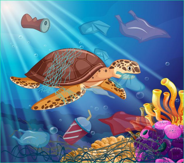 sea turtle plastic bags ocean