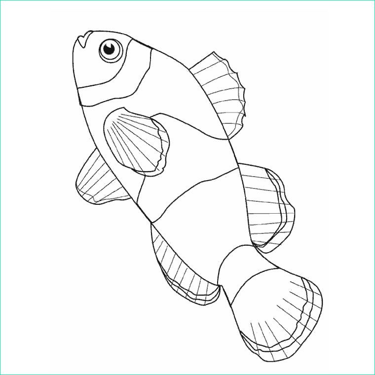 coloriage a dessiner les poissons rouges matisse