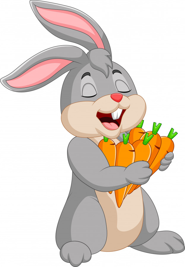 lapin dessin anime tenant carottes