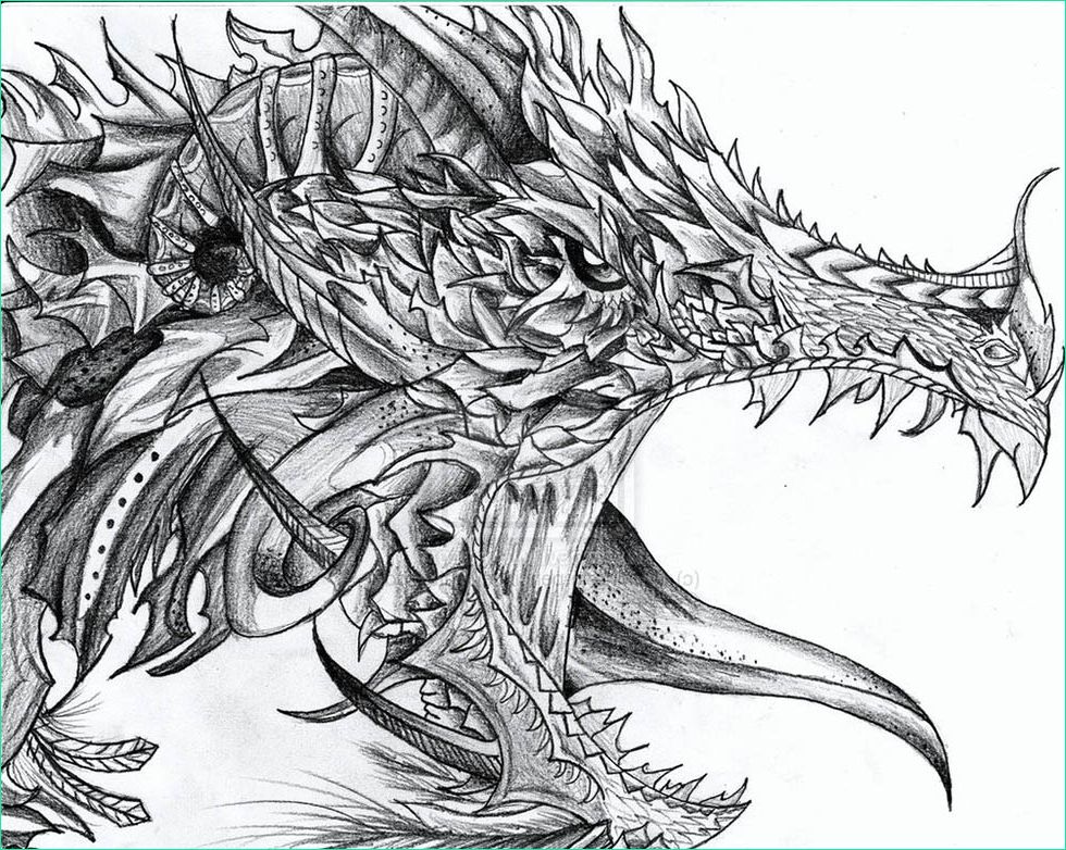 dragon drawings