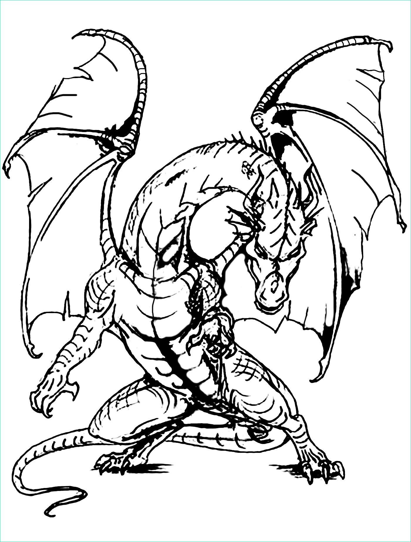 dessin dragon simple