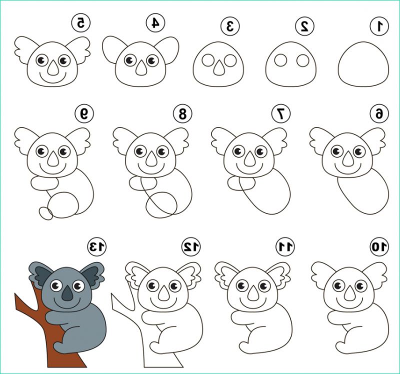 apprendre a dessiner un koala 4827