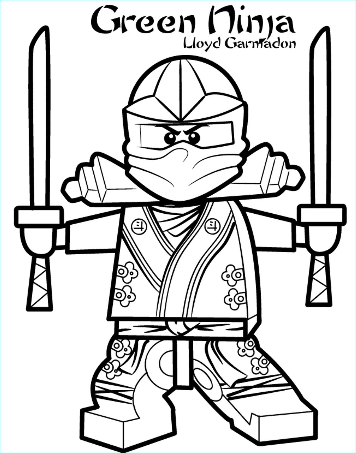 14 beau de ninja go coloriage image