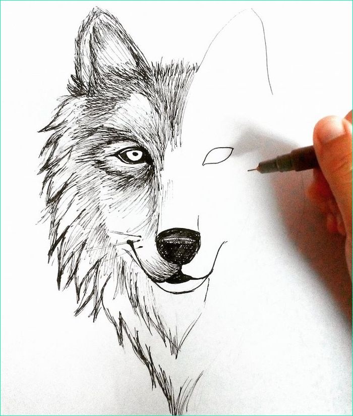 astuces dartiste pour apprendre a realiser un dessin de loup soi meme