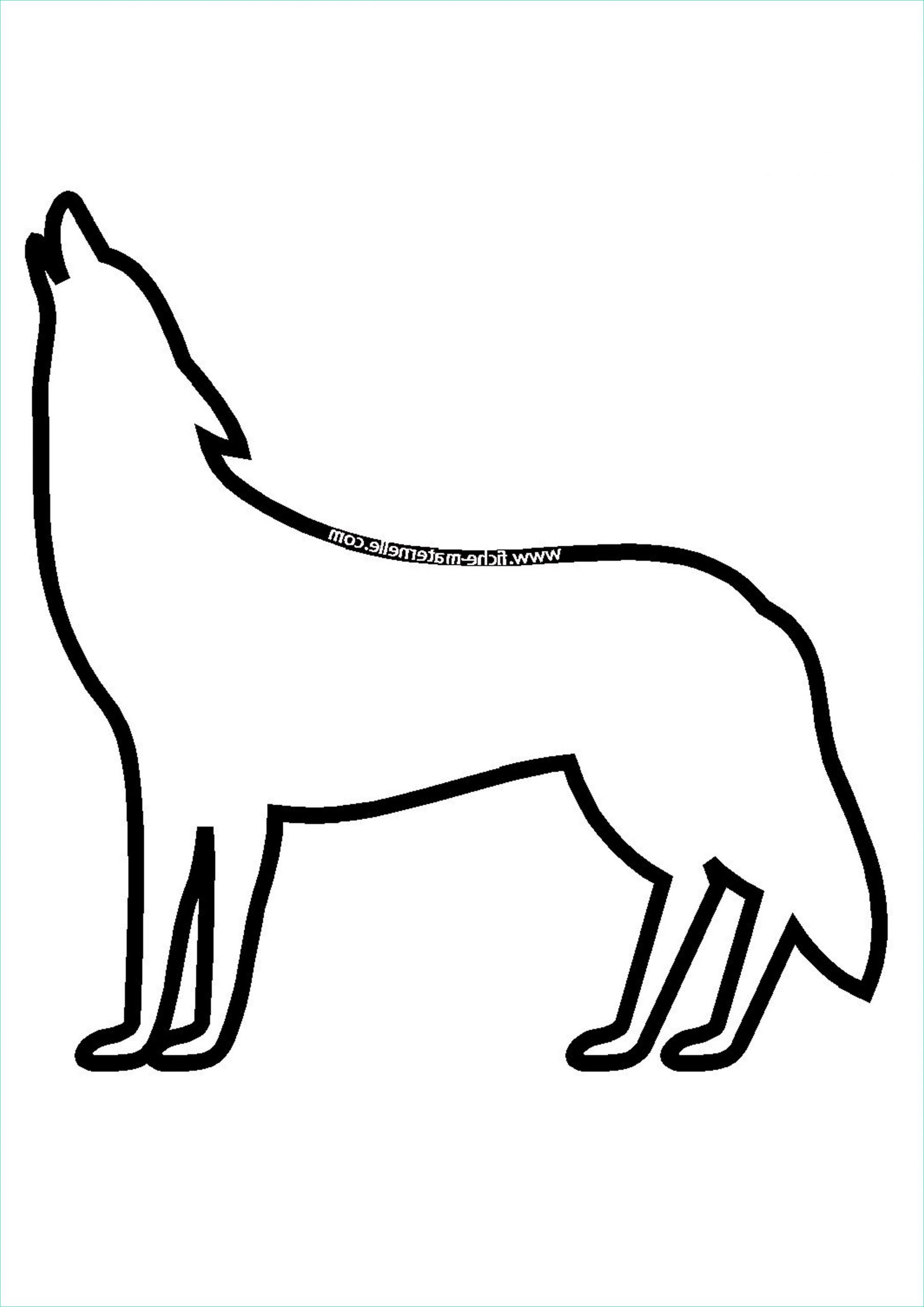 dessin loup facile faire