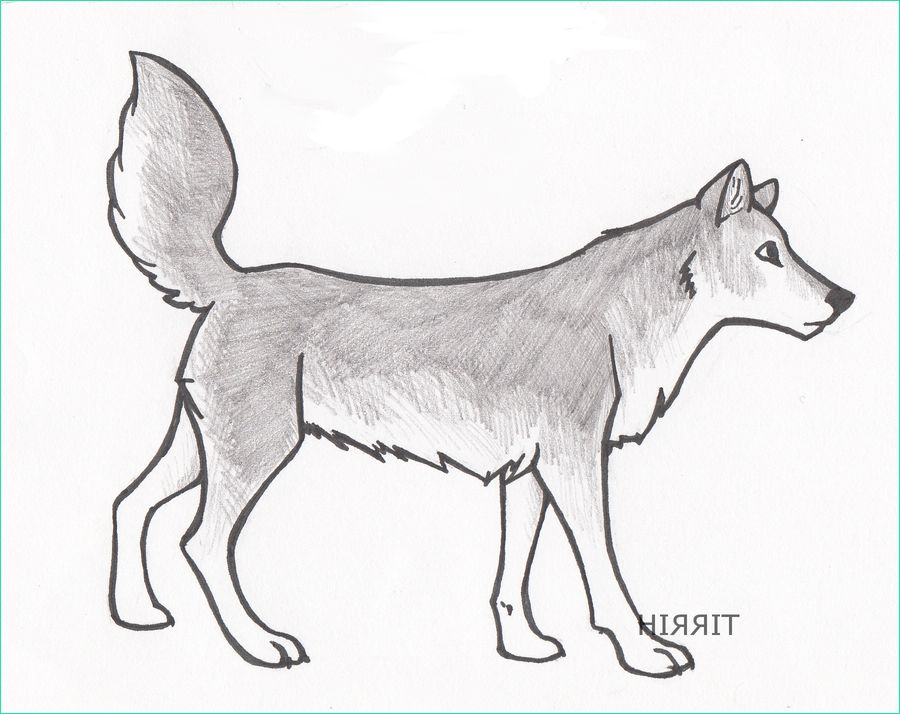 simple drawings of wolves