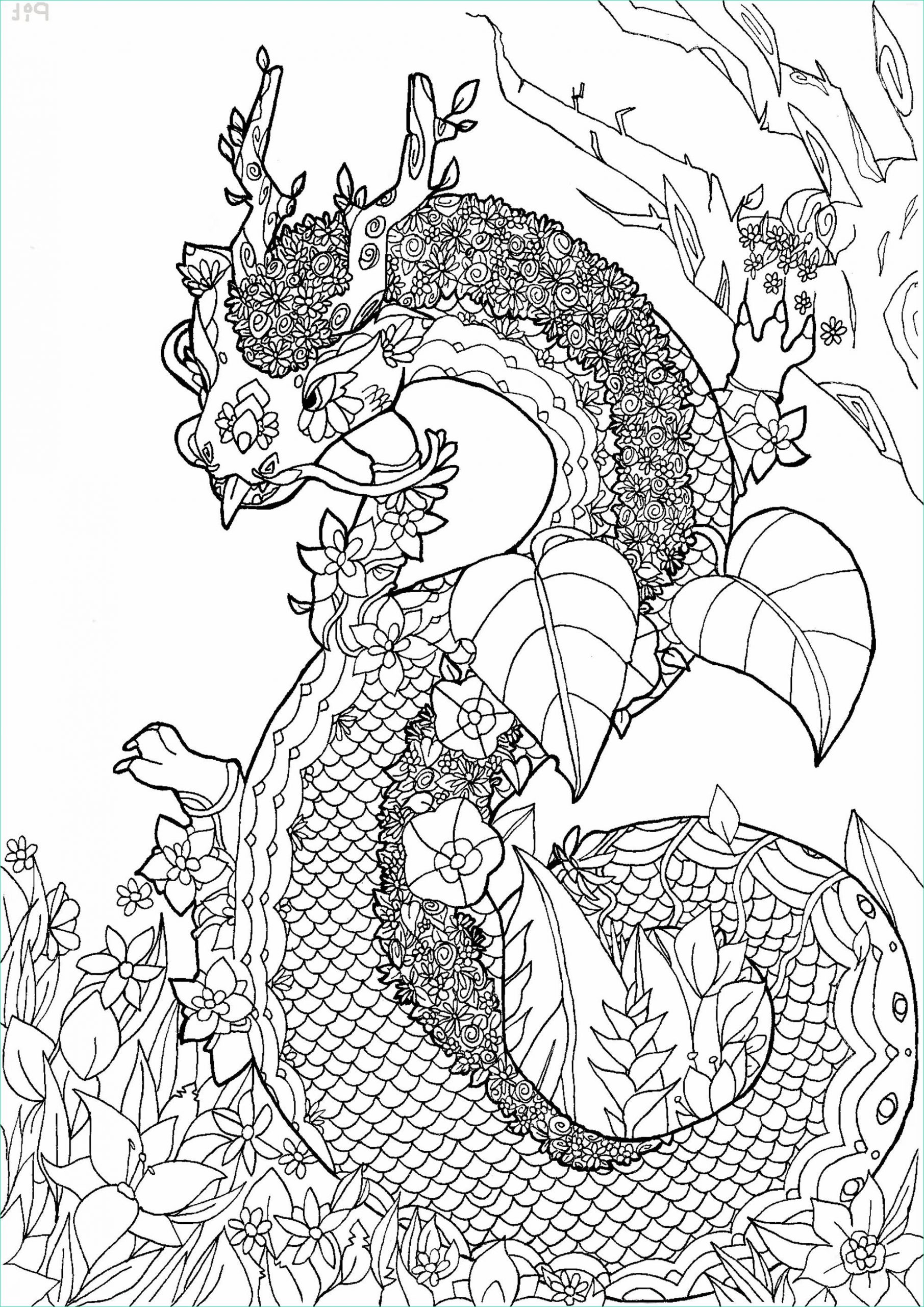 image=fleurs et ve ation coloring page flowery dragon 1