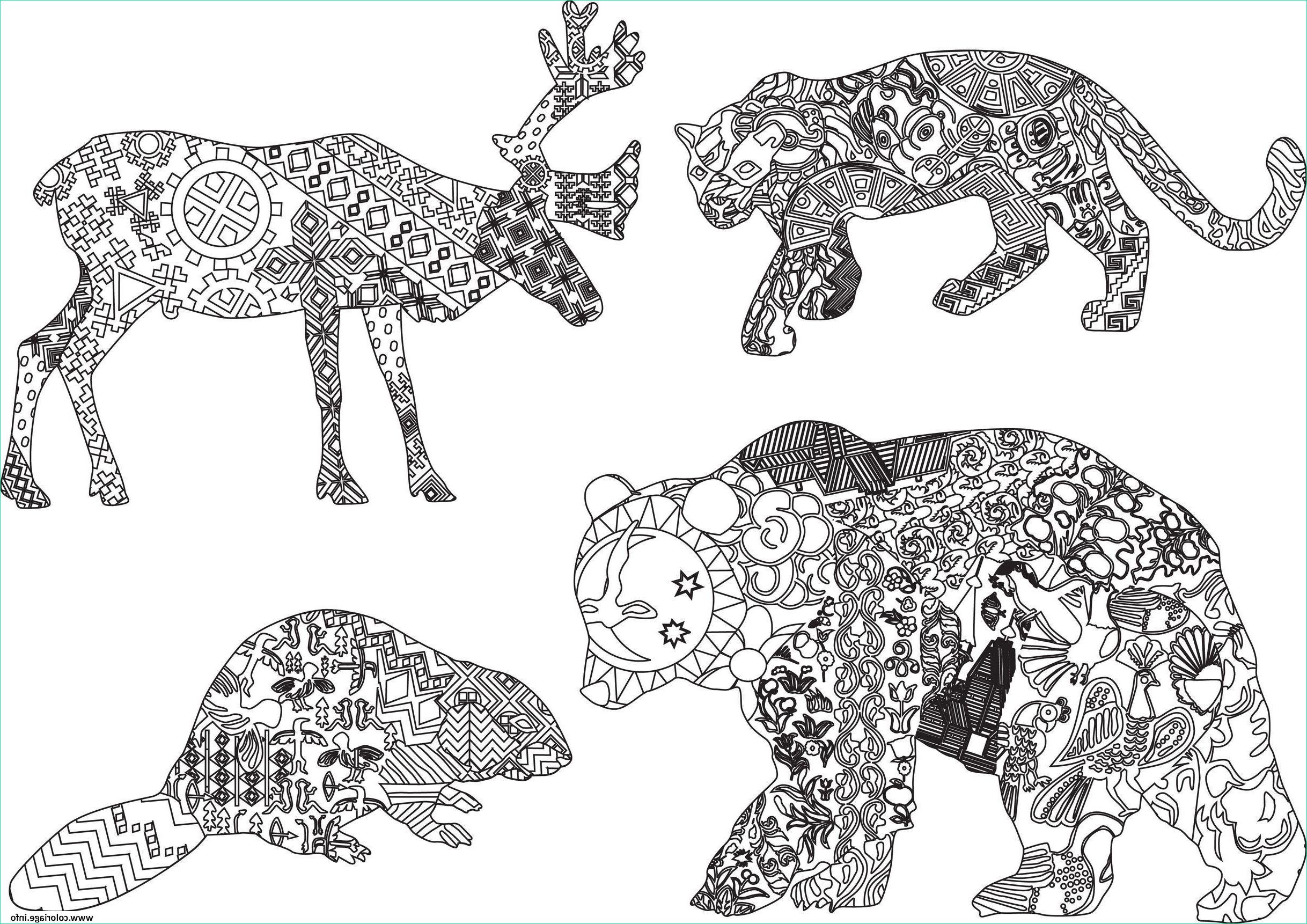 animaux sauvages mandala pour adulte coloriage dessin