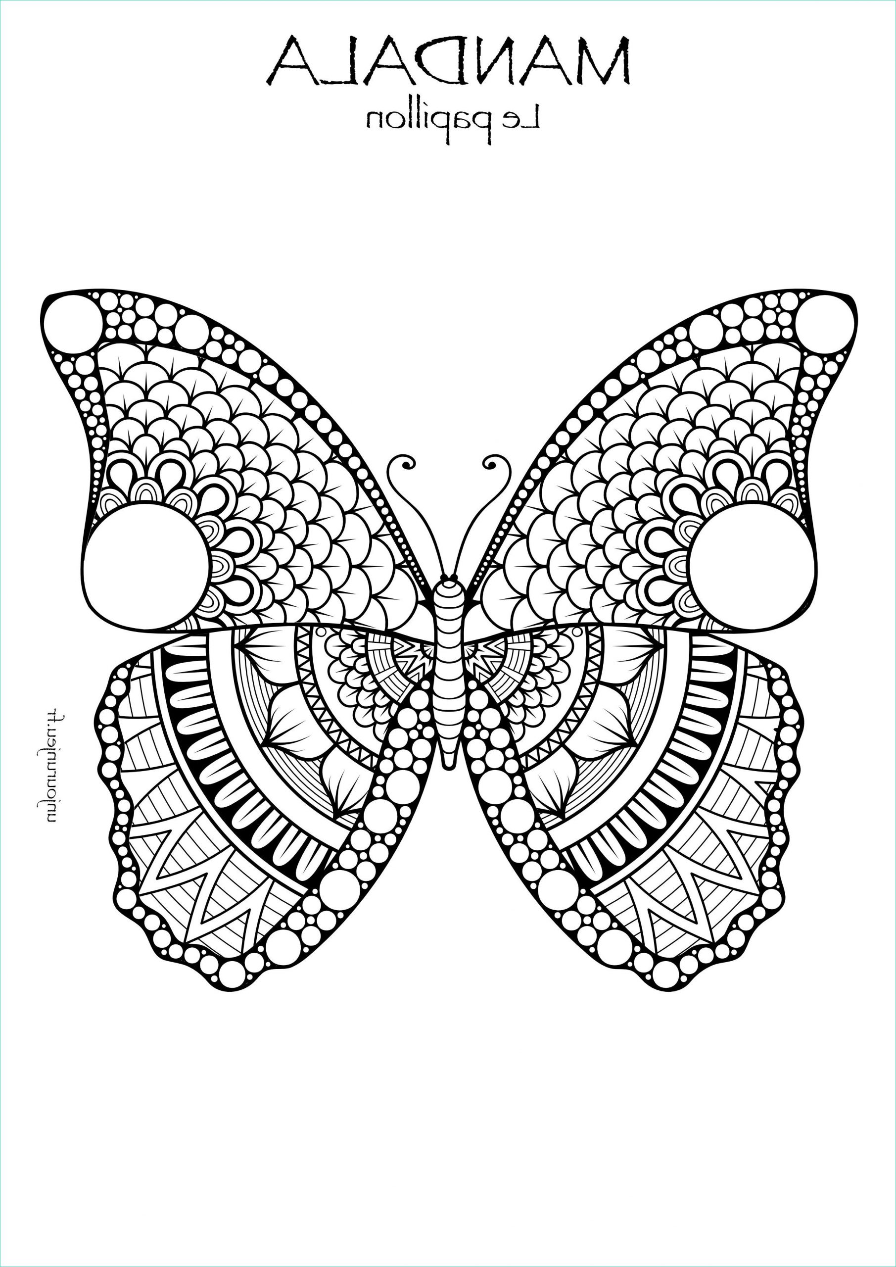 Mandala Animaux Adulte Nouveau Images Coloriages Mandalas Animaux à Télécharger Pour Enfants Et