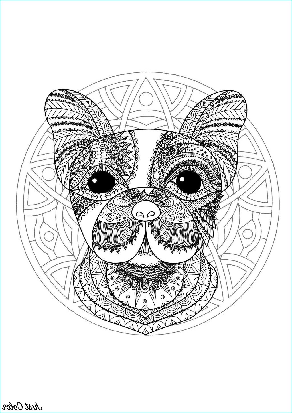 inspiration animaux mandala loup dessin