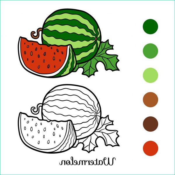 stock illustration coloring book watermelon