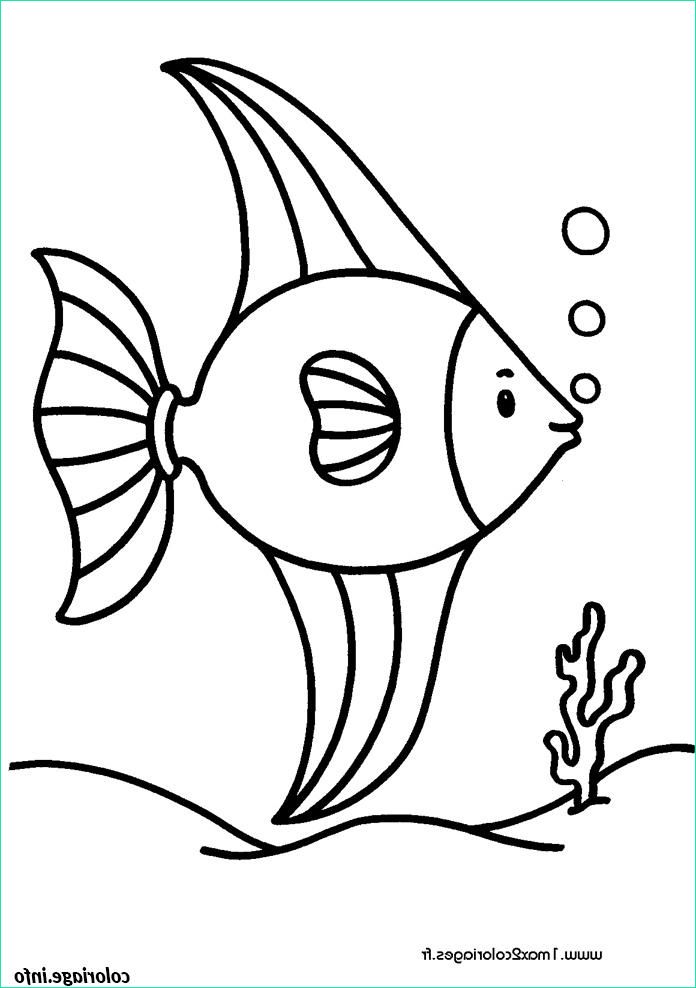 poisson 223 coloriage dessin 9907