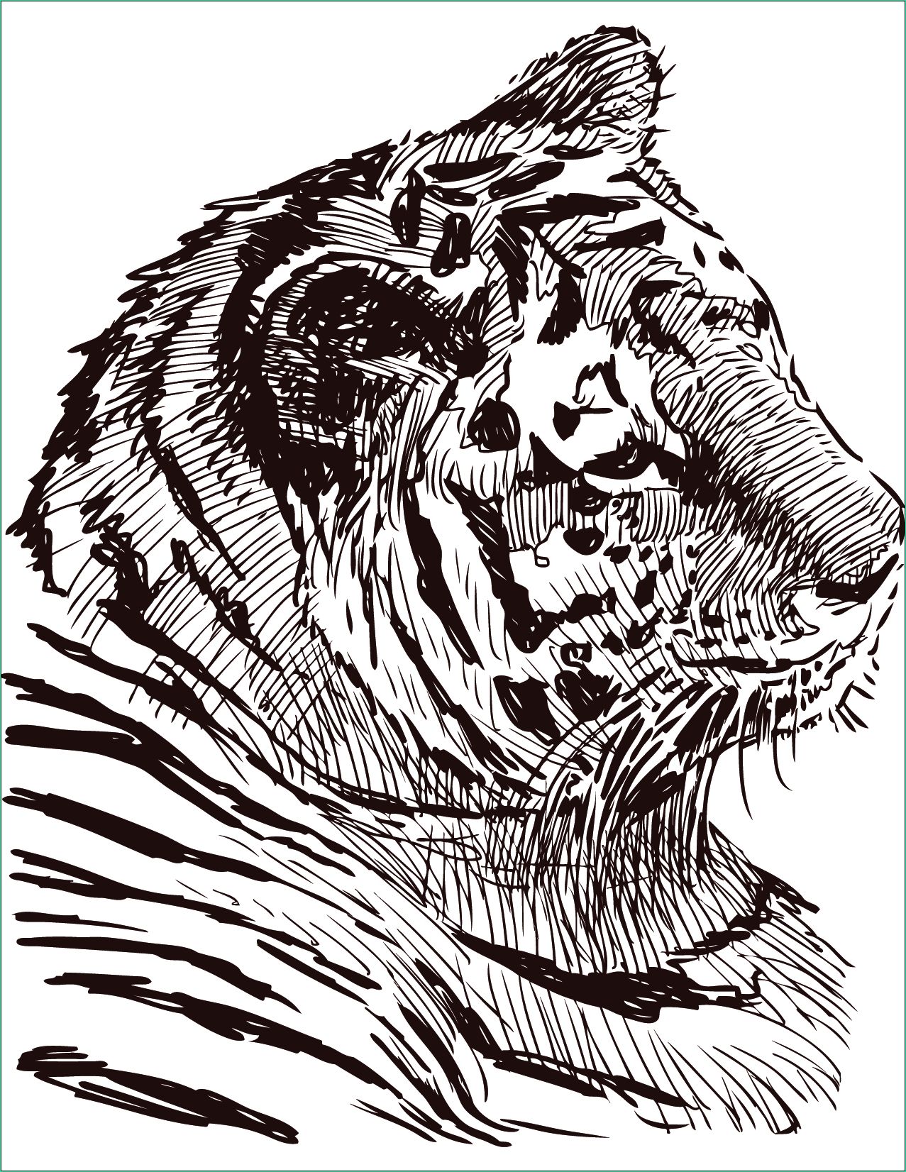 dessin colorier gratuit felin tigre