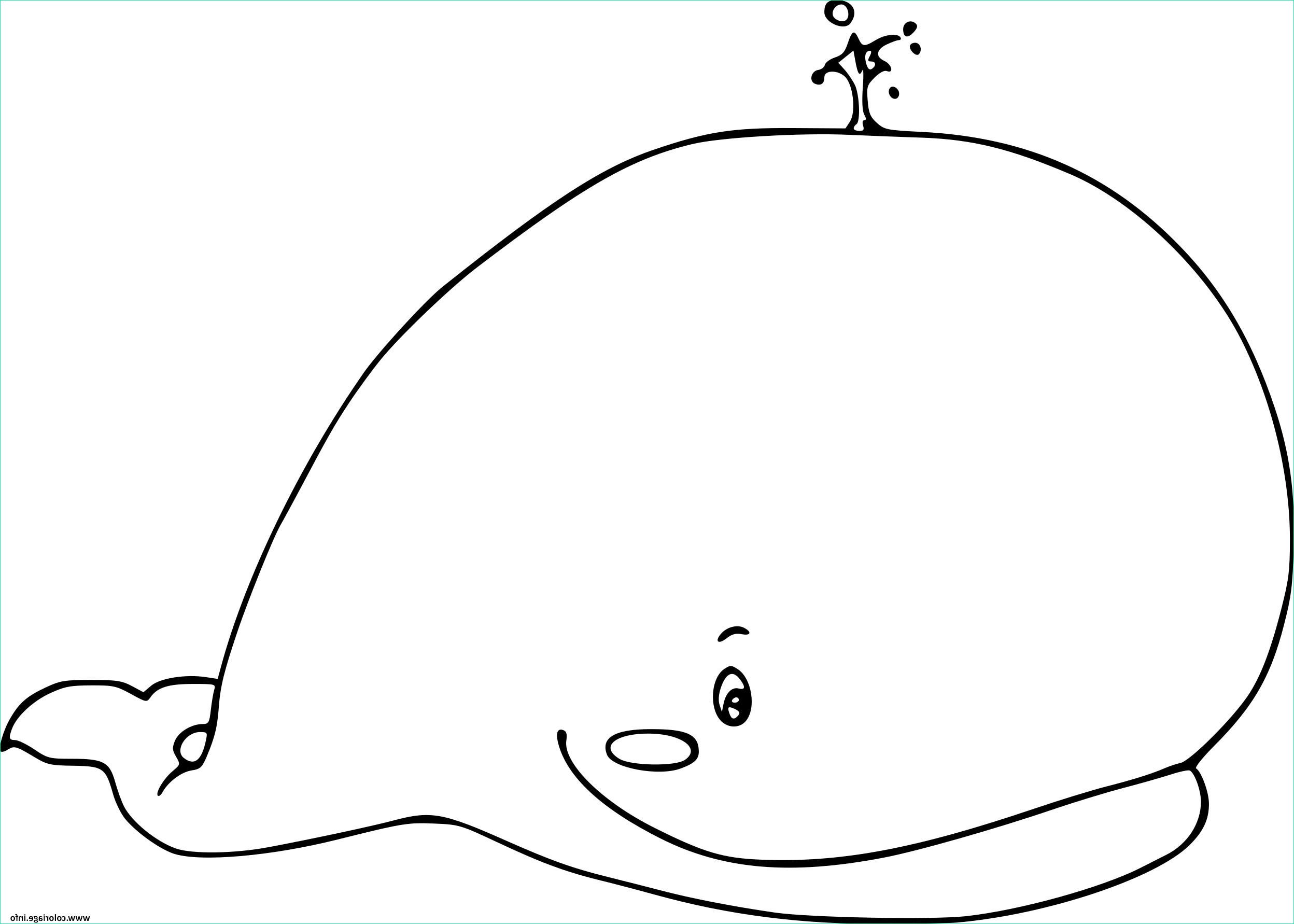 image de baleine a colorier 2
