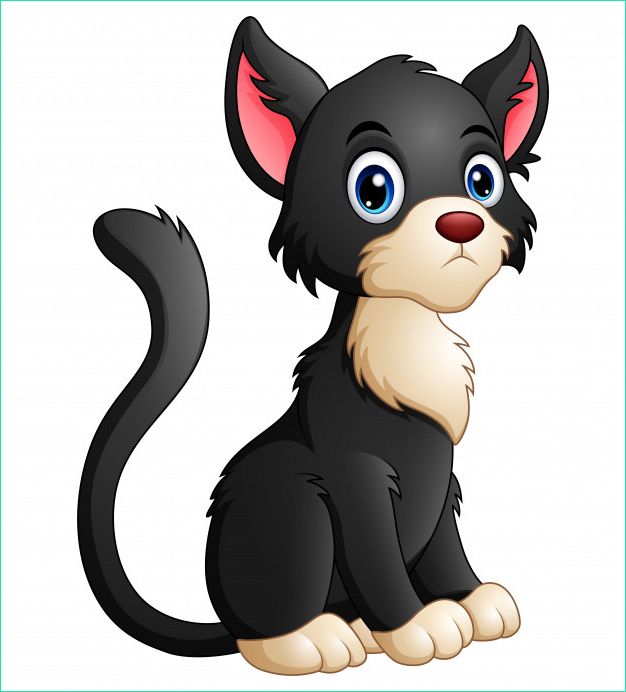 chat noir dessin anime mignon