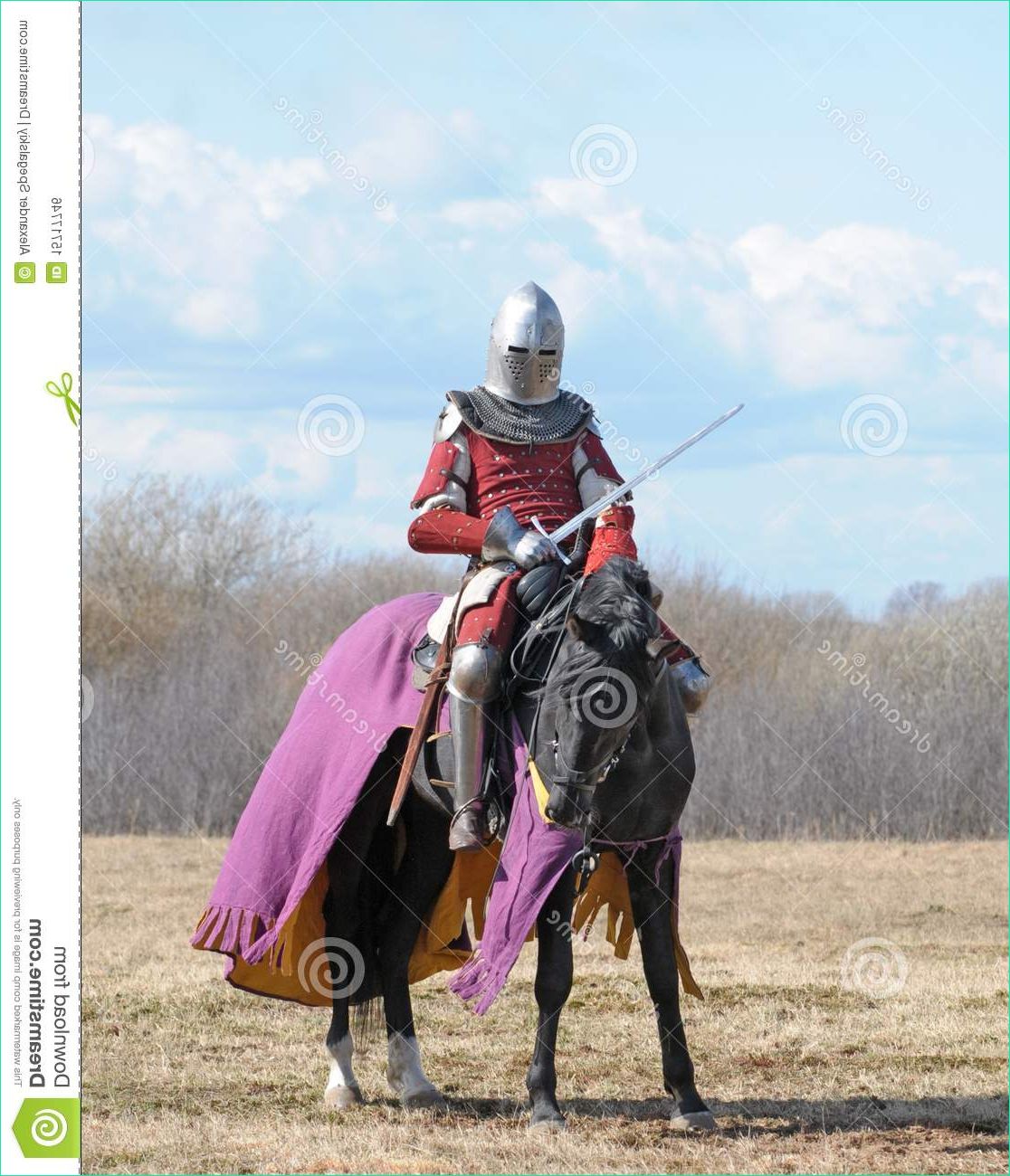 image libre de droits le chevalier de cheval image