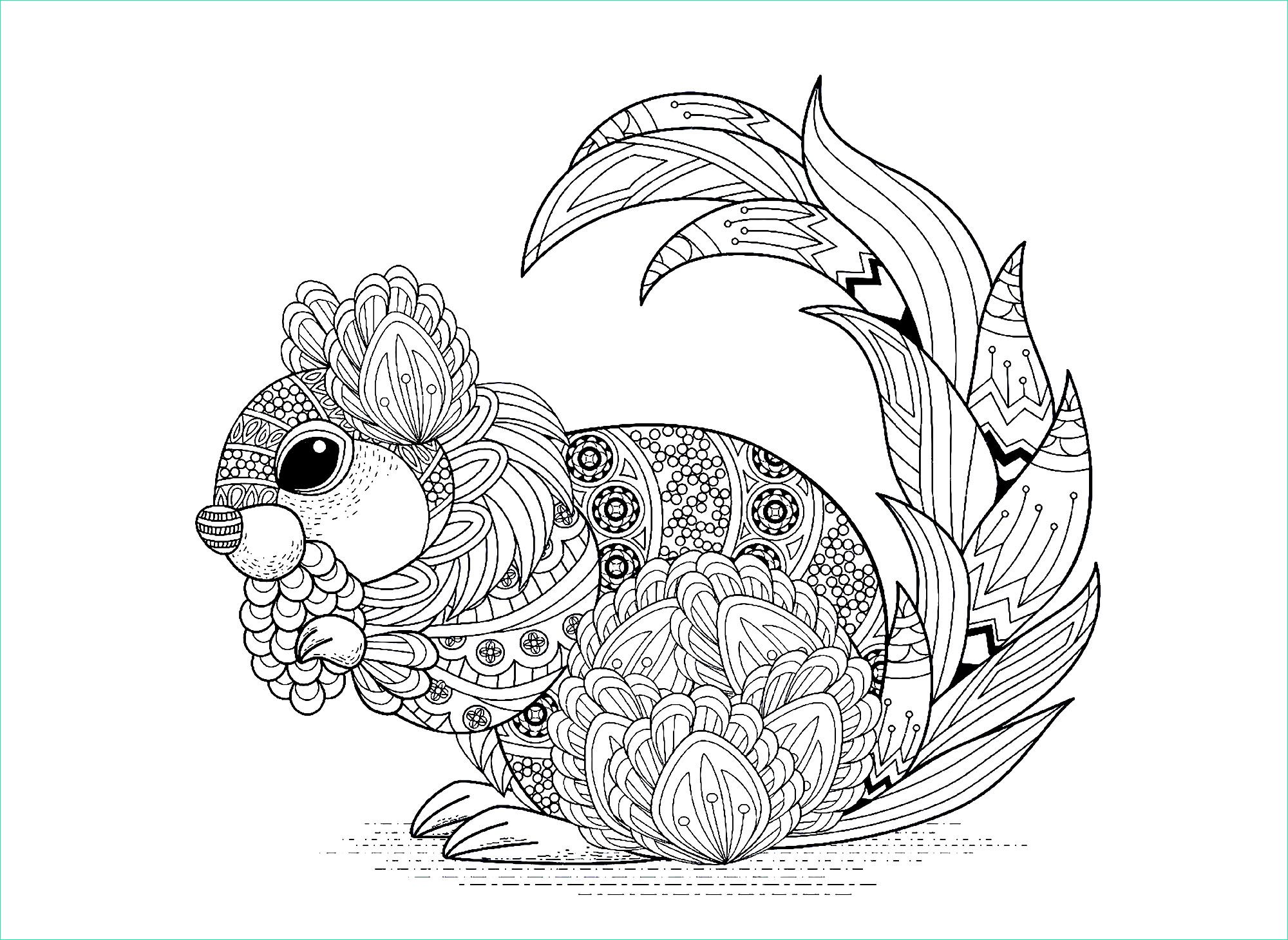 image=ecureuils et rongeurs coloriage ecureuil avec motifs 1