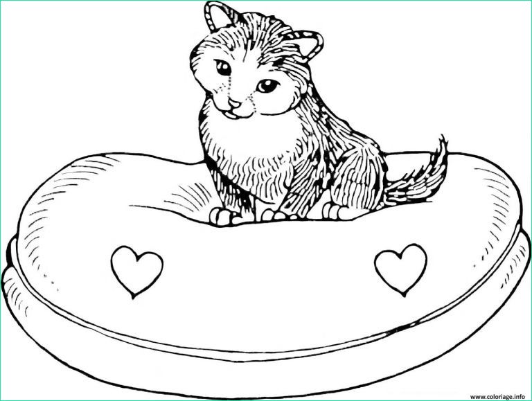dessin de bebe chat cool galerie coloriage dessin chat sur son lit dessin