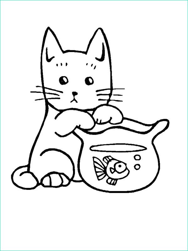 coloriage bebe chat et aquarium
