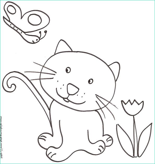 coloriage a imprimer de bebe chat