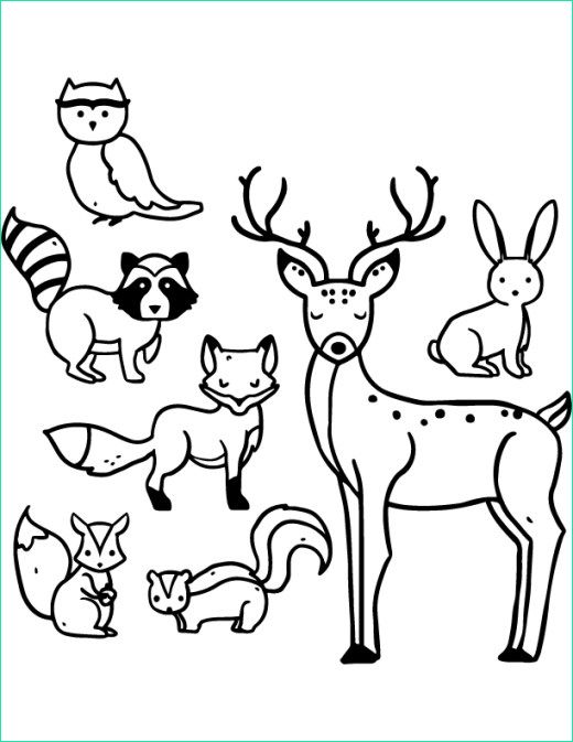 dessin a imprimer gratuitement d animaux
