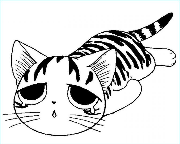 dessin chaton kawaii beau photos coloriage chi vie chat cats pinterest
