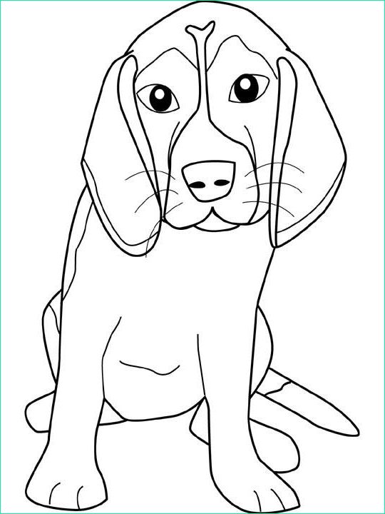 dessin de chien mignon a colorier et a imprimer
