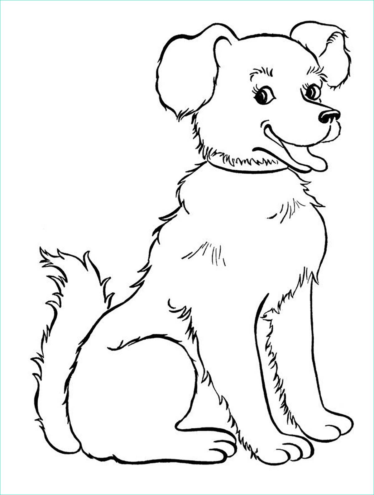 image=chiens coloriage enfant chien 7 1