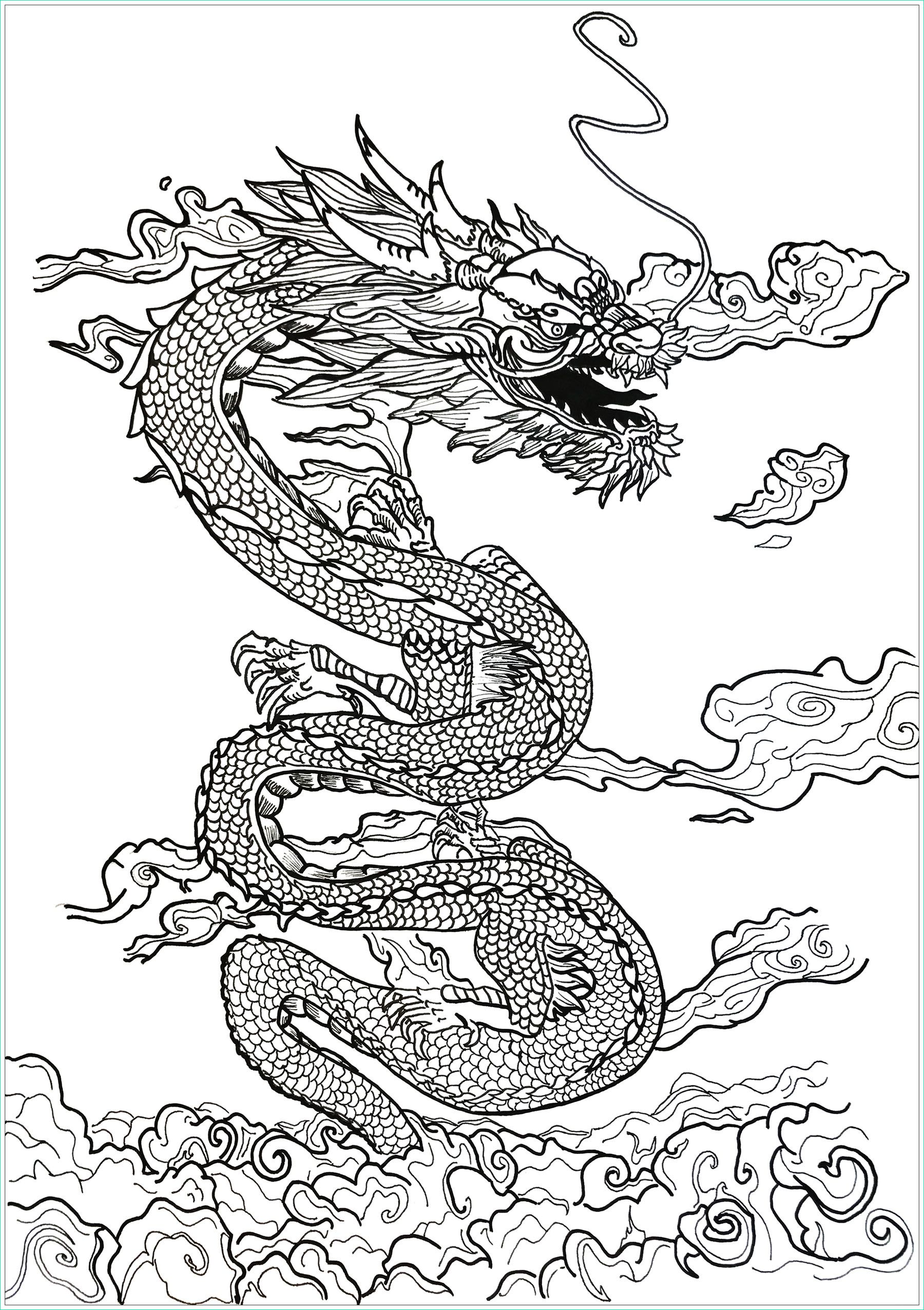 image=chevaliers et dragons coloriage de dragon dans les nuages 1