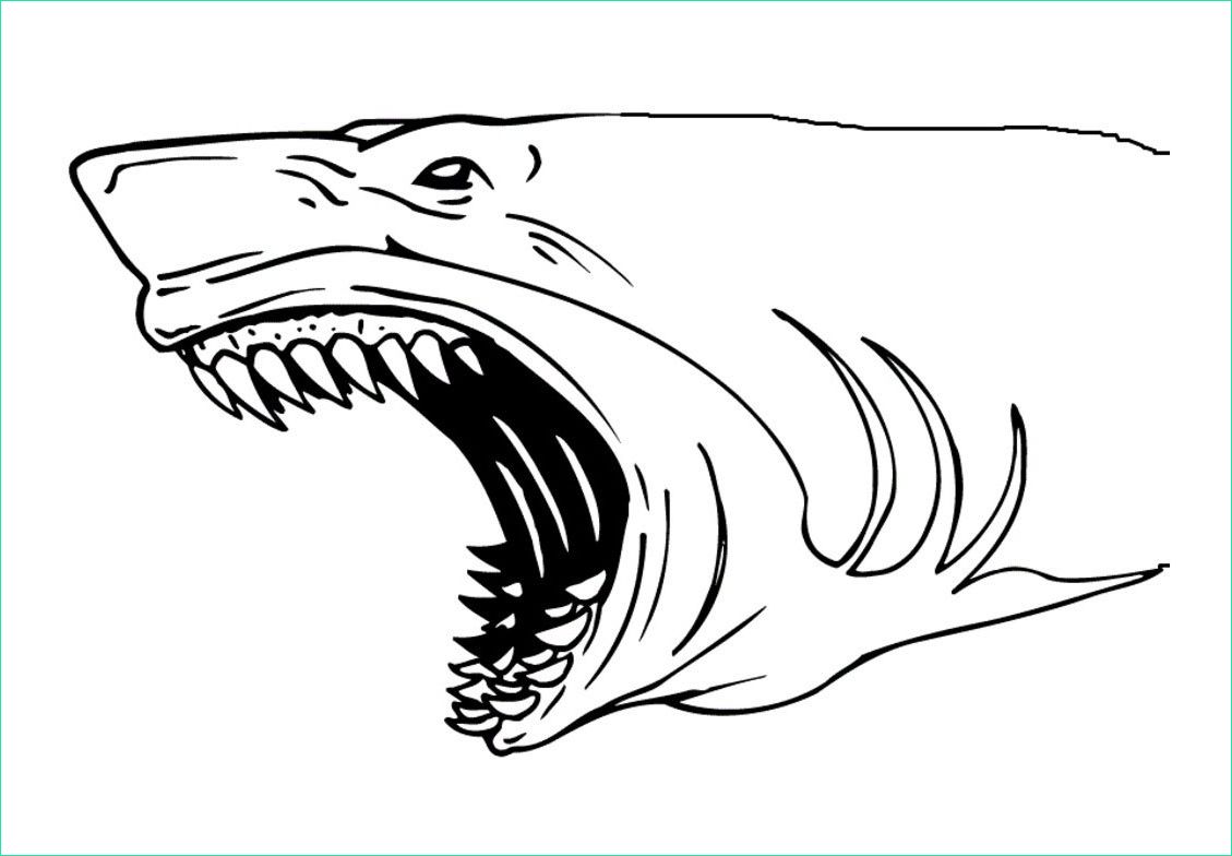 image=requins coloriage enfant requin 6 1