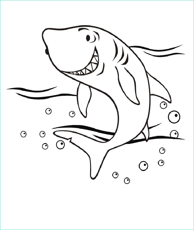 image=requins coloriage requin 1 2