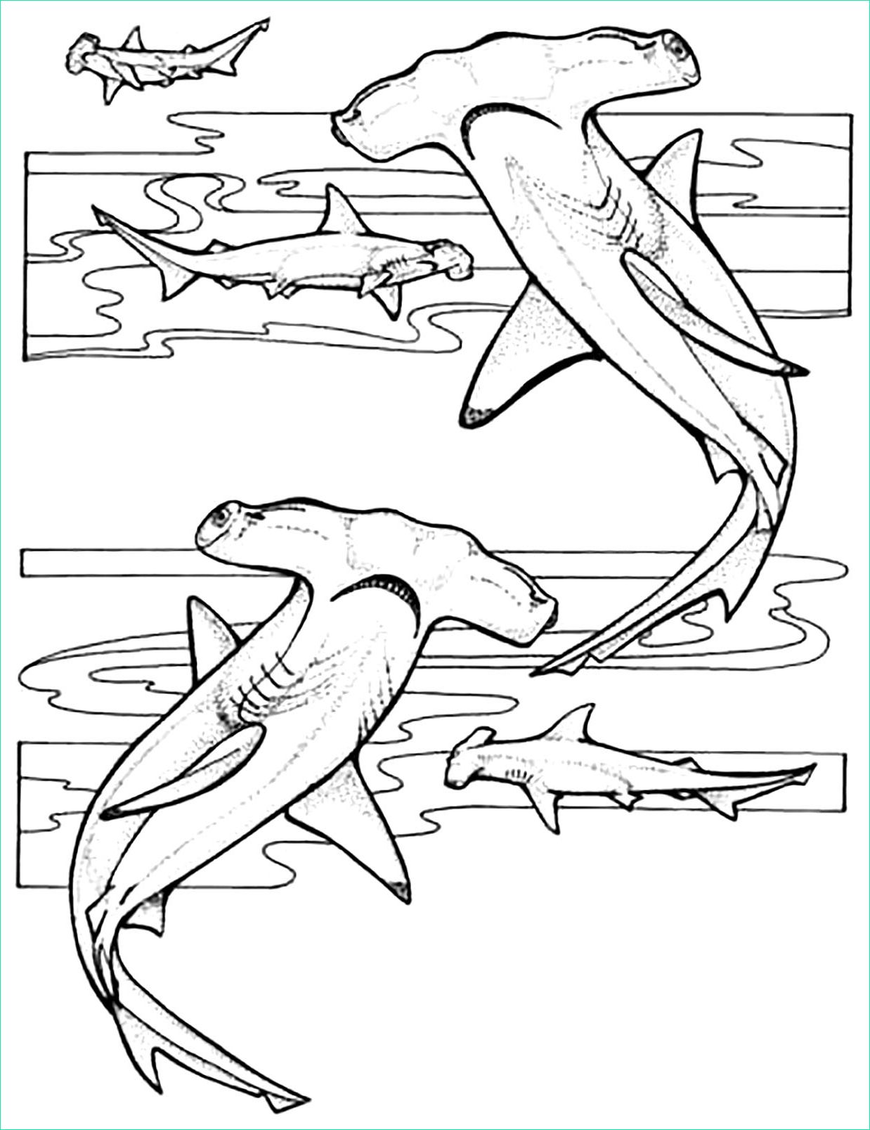 image=requins coloriage enfant requin 5 1