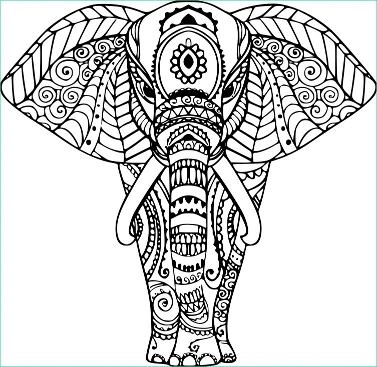 elephant zen