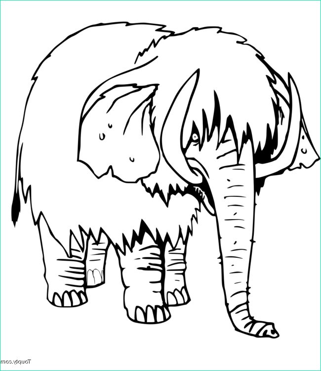 coloriage elephant num=5