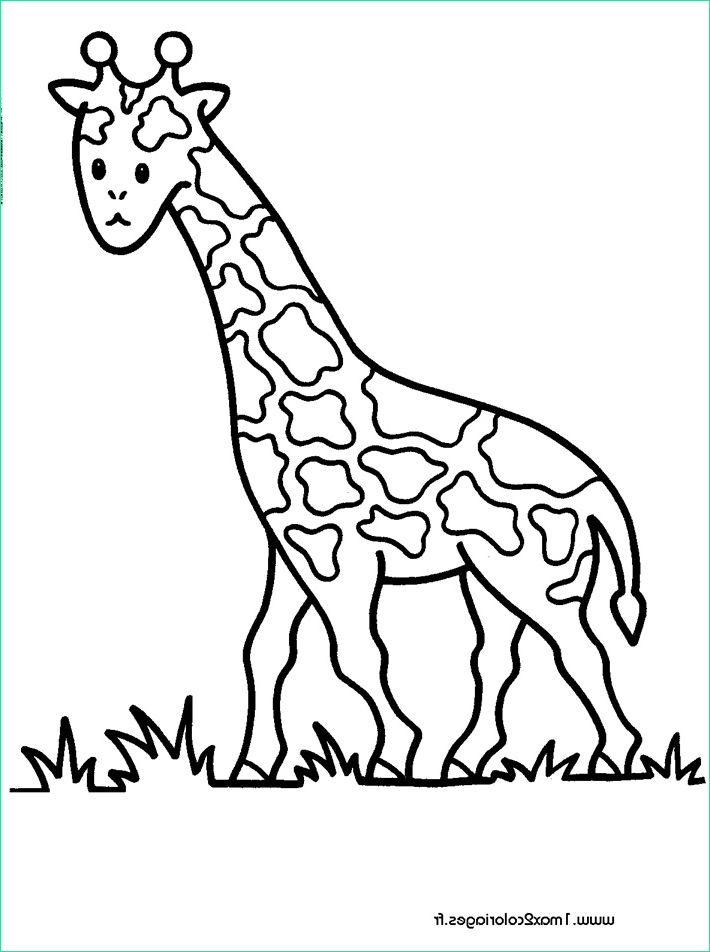 coloriages 3 4ans girafe