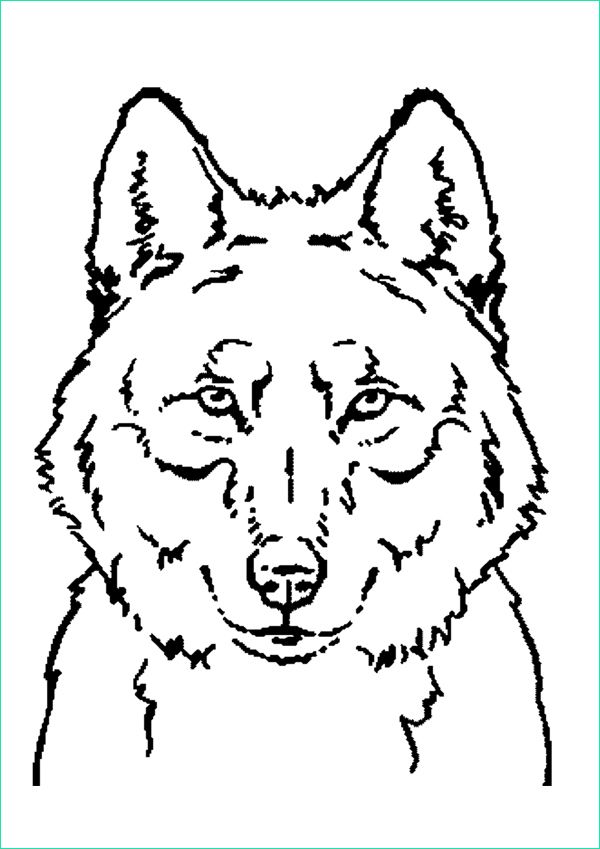 dessin imprimer loup garou