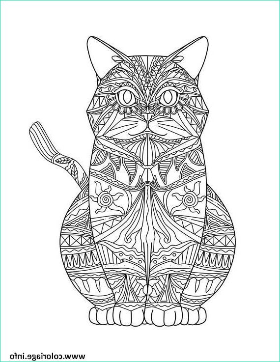 chat mandala detaille adulte coloriage