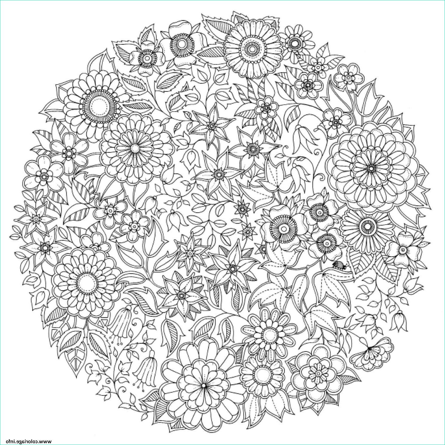 dessin mandala fleur imprimer