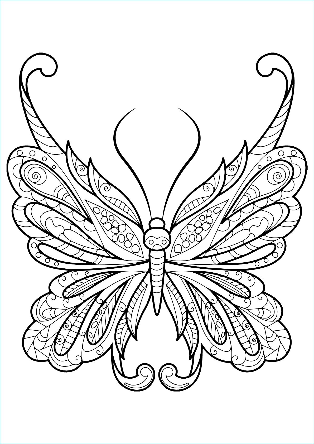 image=insectes coloriage papillon jolis motifs 18 1