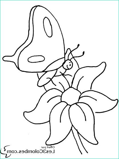 7348 coloriage papillon fleur 20